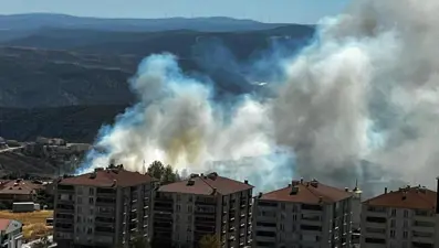 Salça için Bilecik'i yaktı!
