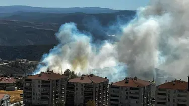 Salça için Bilecik'i yaktı!
