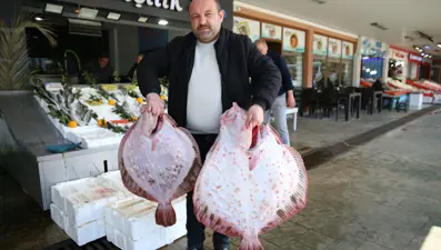 Balık tezgahlarına bereket getirdi: Kilosu 700 liradan başlıyor