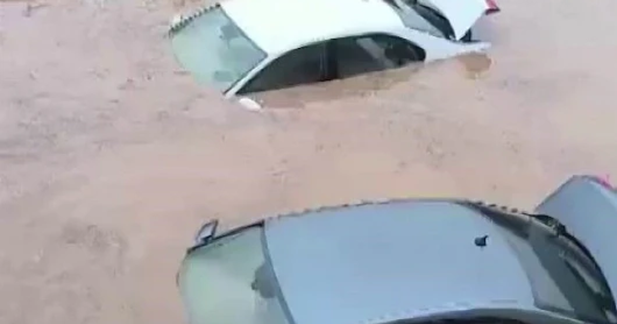 Siirt'te sel felaketi: Araçlar sulara kapıldı, hayvanlar telef oldu