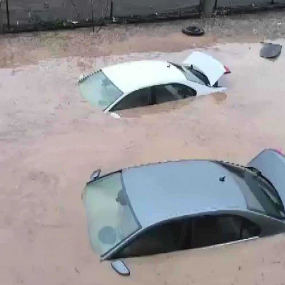 Siirt'te sel felaketi: Araçlar sulara kapıldı, hayvanlar telef oldu