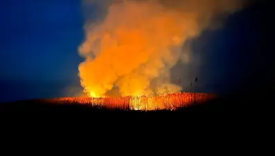 Eber Gölü'nde bir ayda 7 yangın