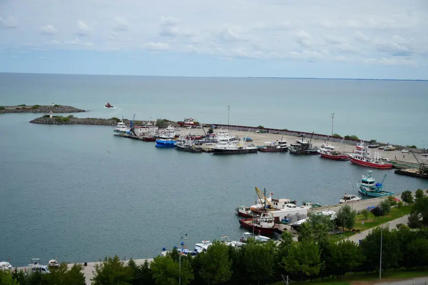 Balıkçılarda hazırlık tamam: "Bu yıl hamsi bol, palamut az olacak" 