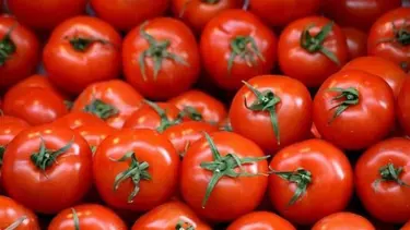 "Türkiye sebzelerinin güvenliğini garanti edecek durumda değil"