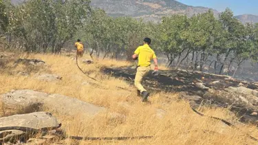 Diyarbakır’da orman ve örtü yangını