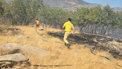 Diyarbakır’da orman ve örtü yangını