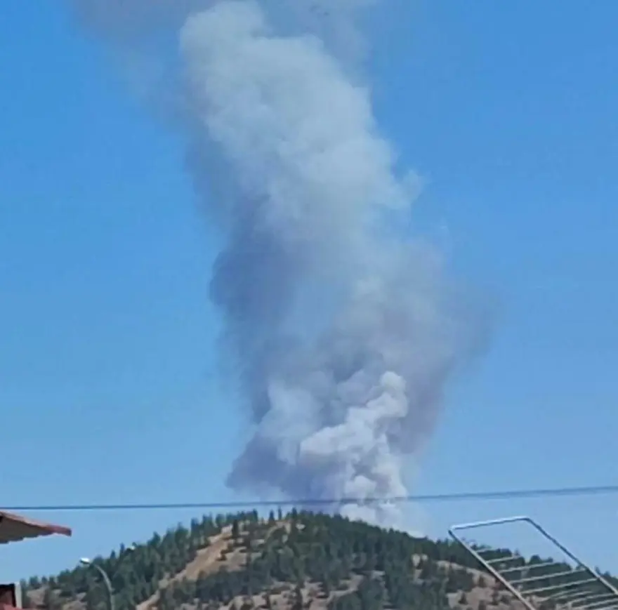 Antalya, Muğla ve Gaziantep'te orman yangını 14
