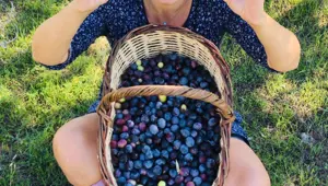 Ege'ye yerleşen oyuncu Aslıhan Gürbüz'den zeytin hasadı