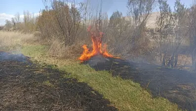 Darende’de sazlık yangını