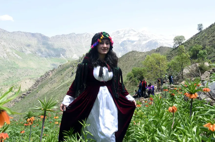 ters lale,sümbül dağı, hakkari ters lale, sütçüler tepesi, cilo doğa sporları kulübü 1
