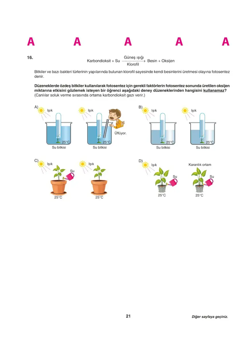 Uğur Okulları LGS deneme sınavı (Sayısal bölüm) 20