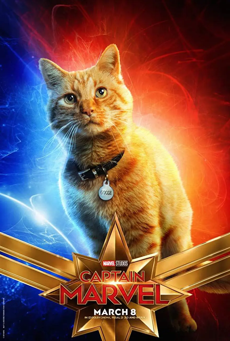 Captain Marvel'dan (Kaptan Marvel) 2 yeni karakter posteri 11