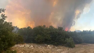 Eskişehir'de orman yangını: Ekipler müdahale ediyor