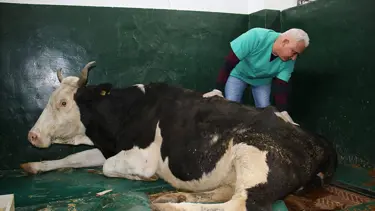 16 saat sonra enkazdan çıkarıldı (Elazığ depremi)