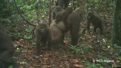 Yıllar sonra ilk kez görüntülendiler