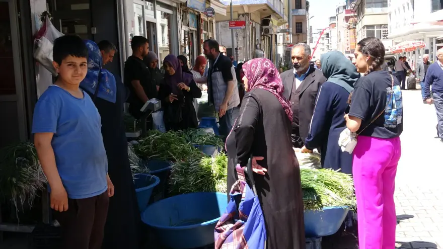 Dağlardan toplanıyor, tezgahta satılıyor: Hem geçim hem de şifa kaynağı 2