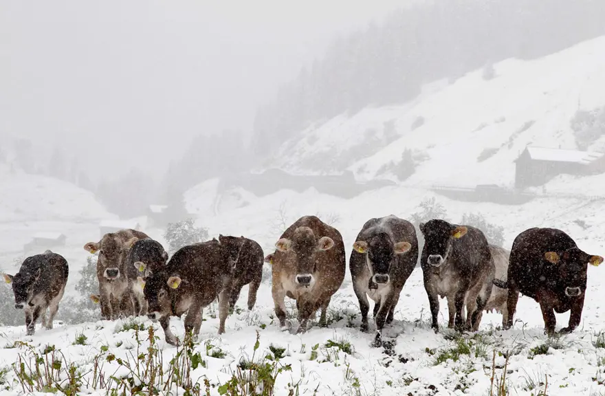 Sıcakta böyle serinliyorlar 26 Sıcakta böyle serinliyorlar 26