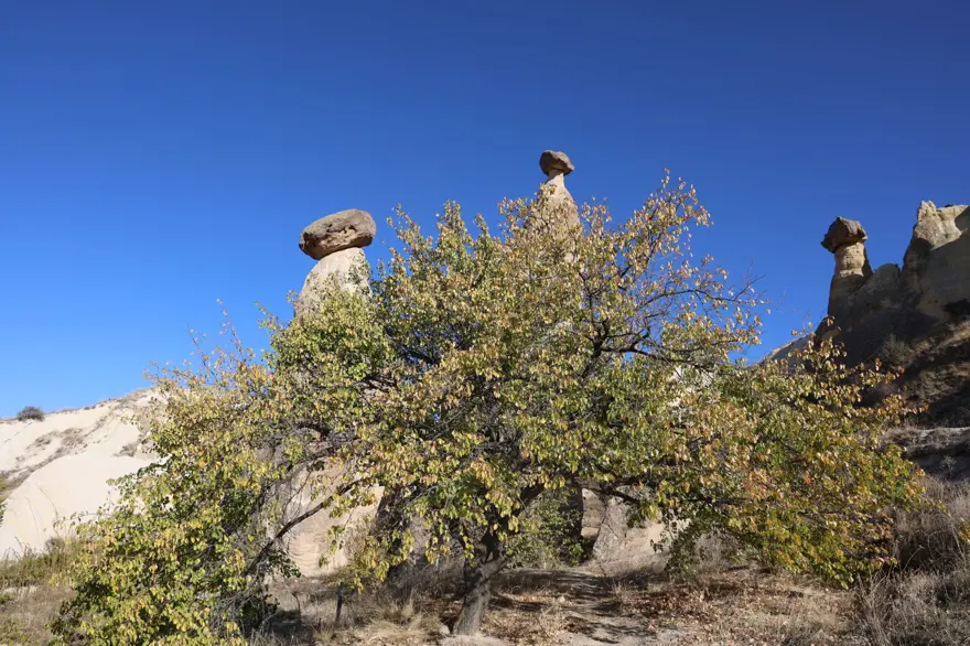 Kapadokya'da sonbahar güzelliği 2