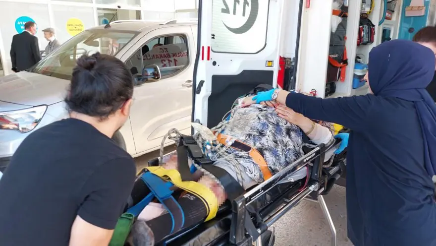 Abla-kardeş mantar toplarken uçurumdan yuvarlandı 3