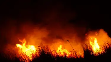 Kayseri'de Sultan Sazlığı Milli Parkı'nda yangın