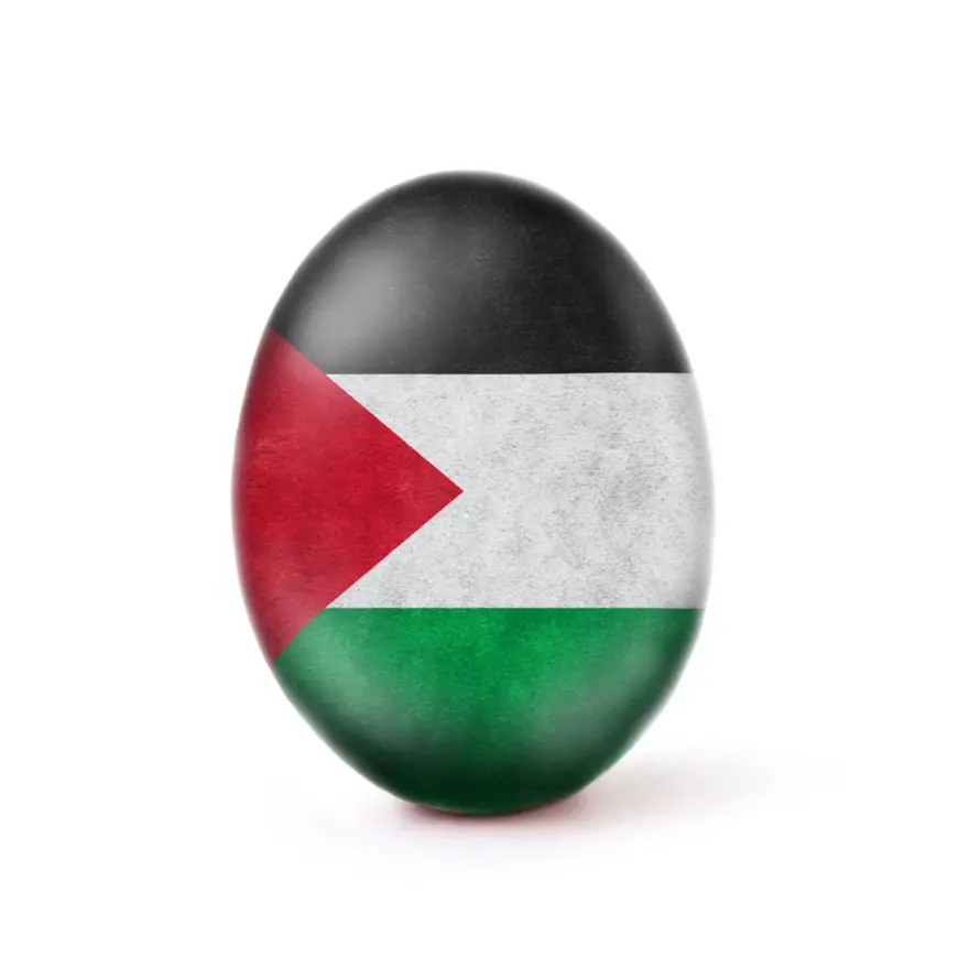 FİLİSTİN'E DESTEK 4