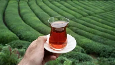 'Rize Çayı'na 98 yıl sonra tescil