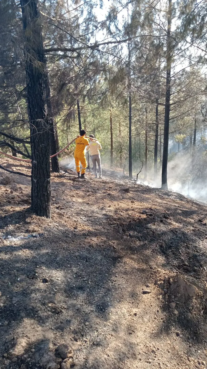 ADANA'DA ÇIKAN ORMAN YANGINI KONTROL ALTINA ALINDI 11