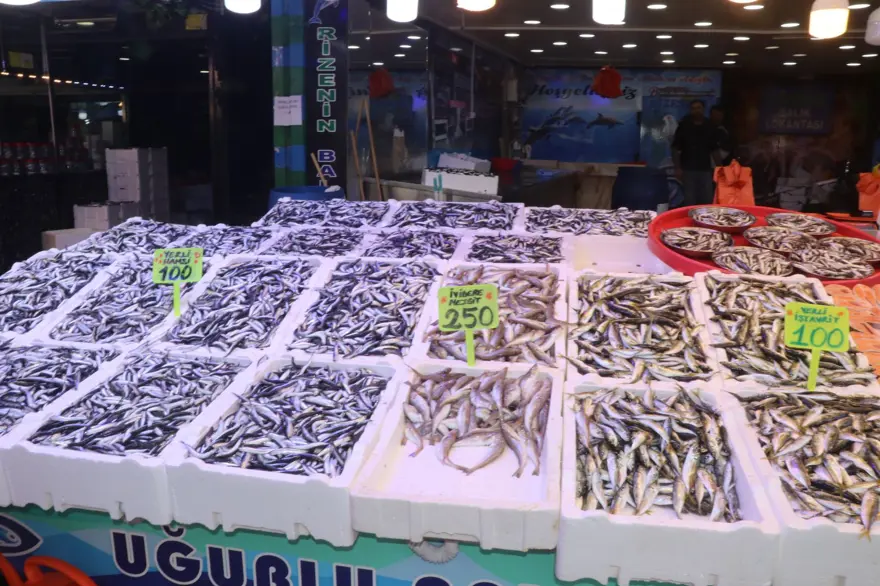 Bu sezon tezgahta bol: En fazla ilgi gören balık 3