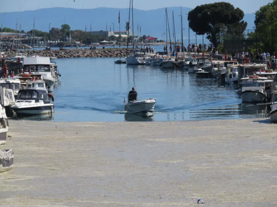 İstanbul'da Kurbağalıdere'yi de deniz salyası kapladı İstanbul'da Kurbağalıdere'yi de deniz salyası kapladı