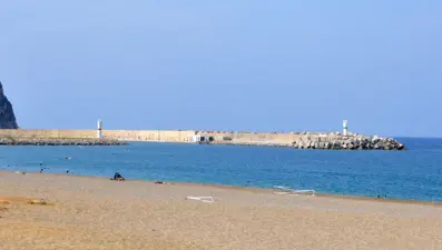 Denize deşarj edilen su kirliliğe neden oldu