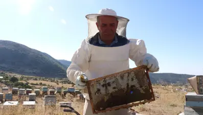 25 yıl önce mobilya işini bırakıp başladı: Bu yıl 2 ton üretti