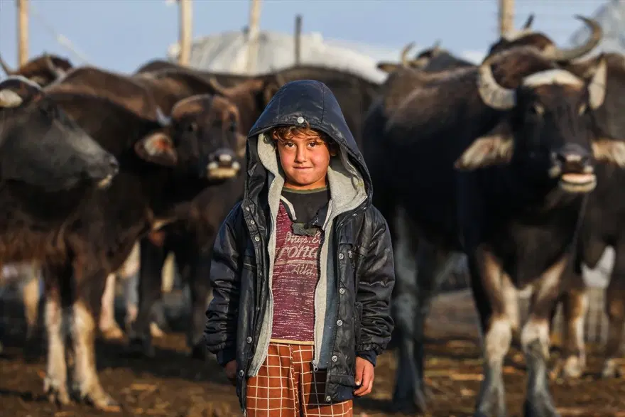 Mezopotamya'nın saklı güzelliği: Bataklıklar 22