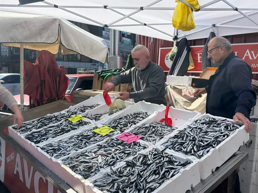Kilosu 70 liraya kadar düştü, tezgahlar şenlendi: Dün de bol, bugün de daha bol 2