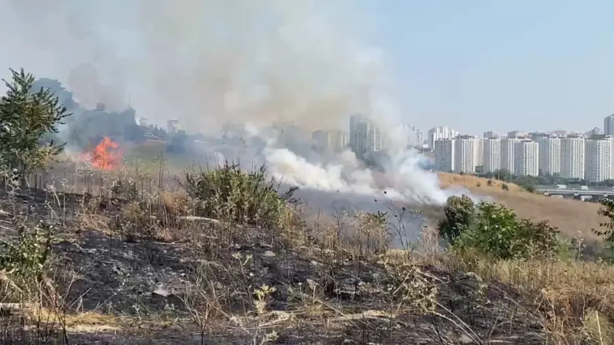 İstanbul'da TEM'i kapatan yangın: Ankara yönünde trafik durdu 