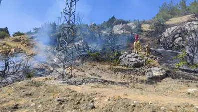 Adıyaman'da orman yangını