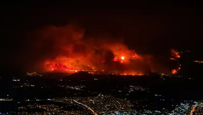Türkiye'de orman yangınları neden çıkıyor, yangınlar neden artıyor? Orman yangınlarının sebepleri
