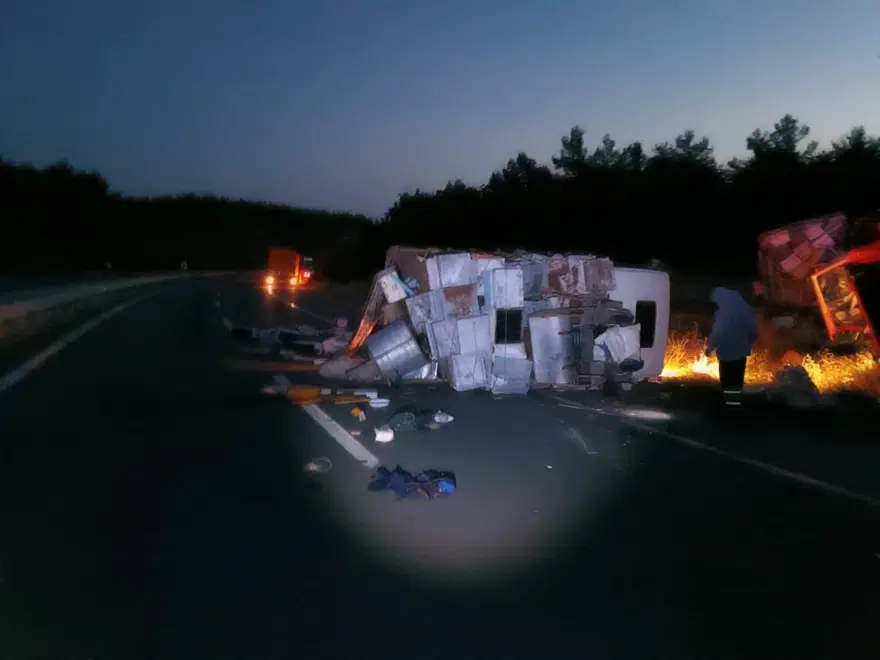 蜂の巣を積んだトラックが事故を起こし、4人が死亡(巣から出た蜂が事故への対応を困難にした)