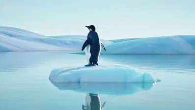 Okyanuslardaki buzul örtüsü eriyor: Buz seviyesinde rekor düşüş