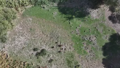 Trakya'yı kuraklık vurdu: Burası bir göletti, tamamen kurudu!