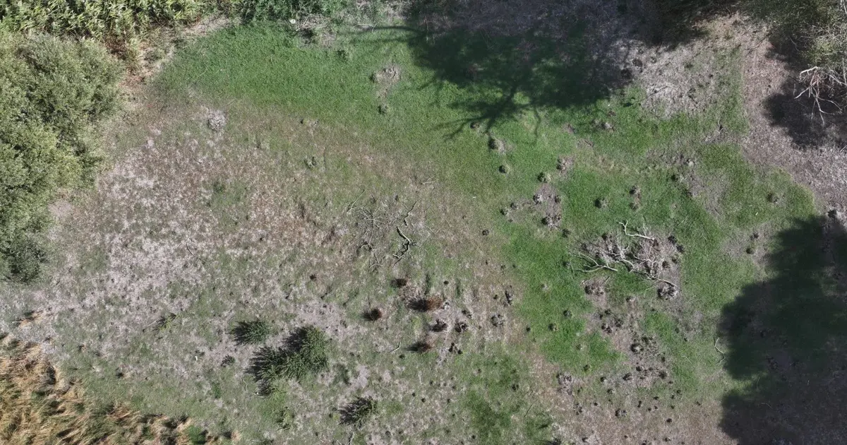 Trakya’yı kuraklık vurdu: Burası bir göletti, tamamen kurudu!