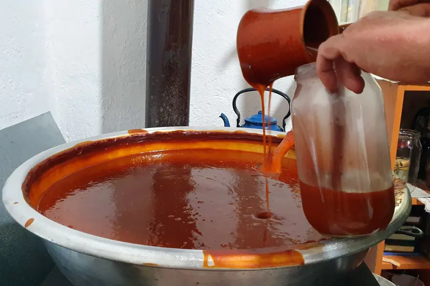 Toplamak için dağlara akın ettiler: 100 gramında 1 kase portakaldan fazla C vitamini var Toplamak için dağlara akın ettiler: 100 gramında 1 kase portakaldan fazla C vitamini var