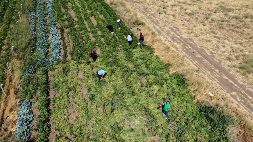"SEBZELER TURŞUYLA DAHA FAZLA KATMA DEĞERE DÖNÜŞÜYOR" 4 "SEBZELER TURŞUYLA DAHA FAZLA KATMA DEĞERE DÖNÜŞÜYOR" 4