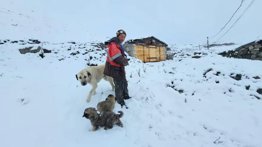 Yağmur kar yağışına döndü, yeni güne bembeyaz başladılar 2