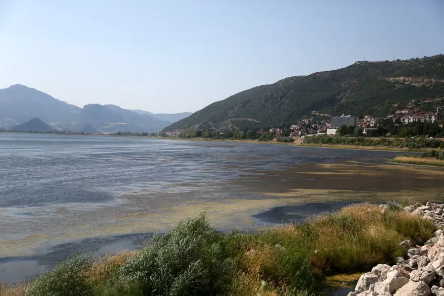 Eğirdir Gölü'nde korkutan görüntü: Battaniye gibi kapladı, çok tehlikeli! 9