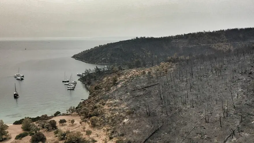 Bodrum ve Milas'ta yanan alanlar havadan görüntülendi 19 Bodrum ve Milas'ta yanan alanlar havadan görüntülendi 19
