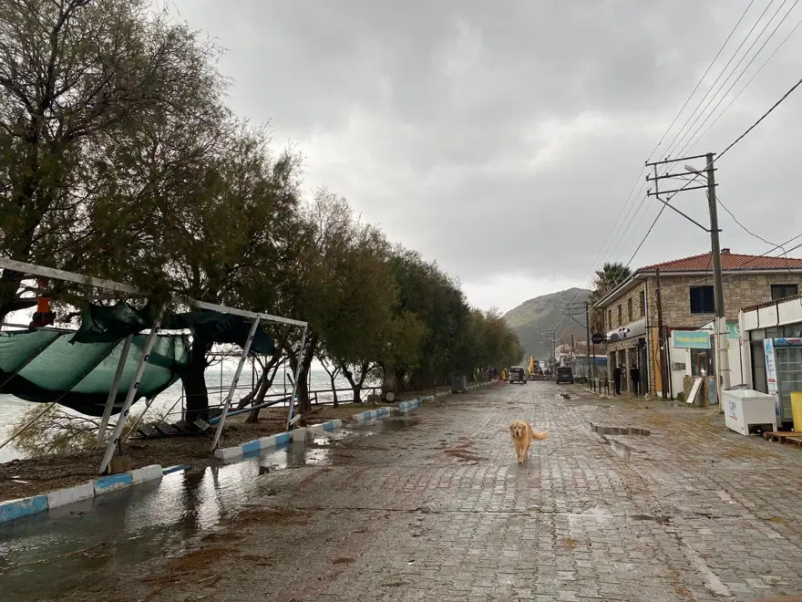 Fırtına restoranın çatısını uçurdu 3