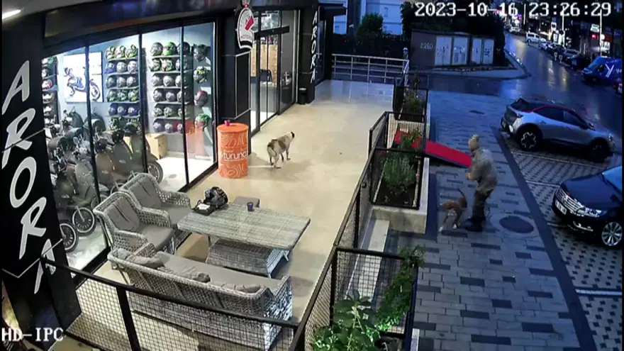 Avcılar'da pitbullu bıçaklı saldırgana gözaltı 2