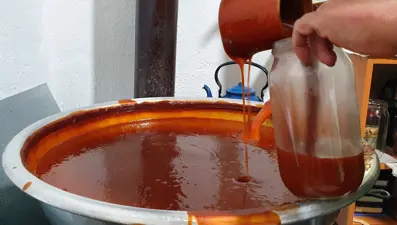 Toplamak için dağlara akın ettiler: 100 gramında 1 kase portakaldan fazla C vitamini var