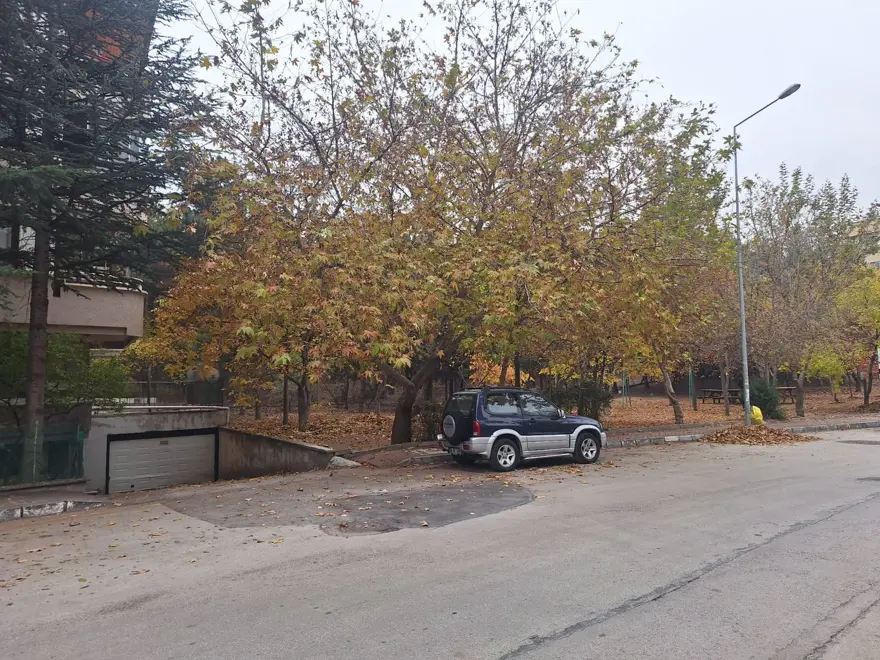 Ankara'da başıboş köpek dehşeti: Kadın akademisyenin bacakları ve yüzü parçalandı 4 Ankara'da başıboş köpek dehşeti: Kadın akademisyenin bacakları ve yüzü parçalandı 4