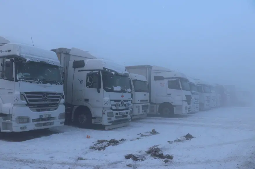 Doğu Anadolu buz kesti: Erzurum, Ağrı ve Kars eksi 20’leri gördü 7